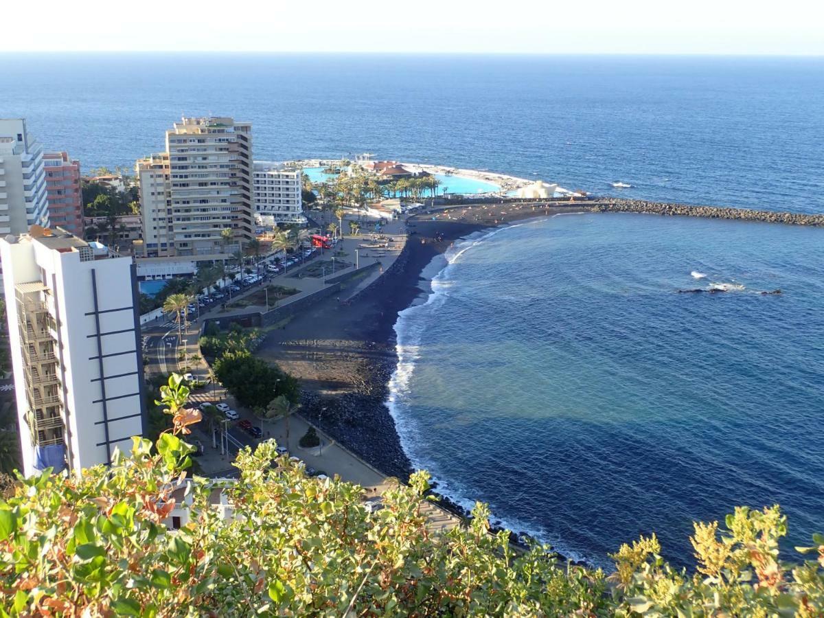 The Bird'S Nest Apartment Puerto de la Cruz  Exterior foto